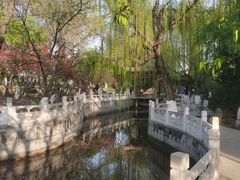 -桃花堤公园