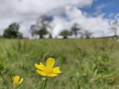 -硗碛藏寨·神木垒景区