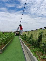 -可可天空农场(东部新城银泰店)
