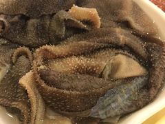 -朱氏胖子烂火锅(洪崖洞店)