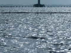 -滆湖低碳生态公园