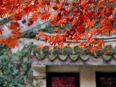 -惠山古镇·寄畅园