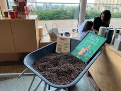 -Seesaw Coffee(朝阳大悦城店)