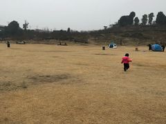 -秀丽东方