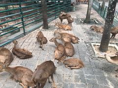 -东芭乐园