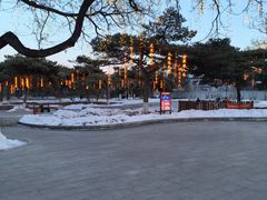 -万泉公园