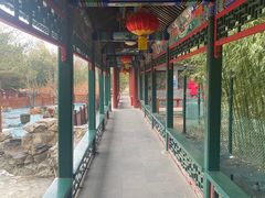 -宣武艺园