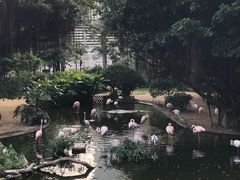 -九龙公园