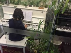-圣典成人钢琴俱乐部(国贸旗舰校区)