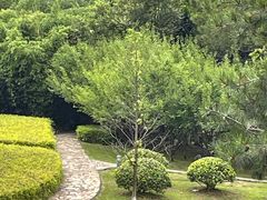 -白塘生态植物园