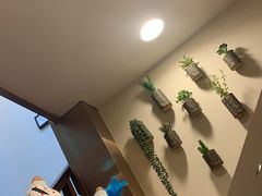 -多卡布奇宠物生活馆(上林世家店)