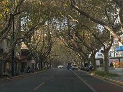 -一尺花园(安和花园店)