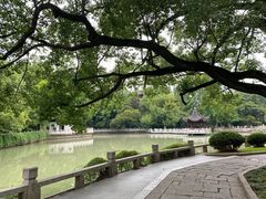 -汇龙潭