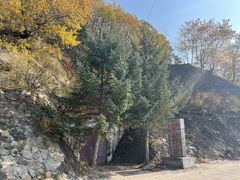 -凤凰山国家森林公园