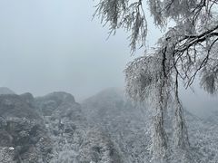 -秦岭终南山世界地质公园翠华山景区