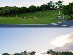 -深圳湾公园(南山区)