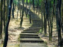 -火炉山森林公园