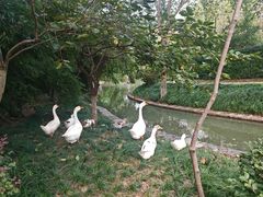 -上海交通大学(闵行校区)