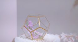 -曼格纳婚礼艺术中心(张江店)