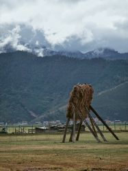-纳帕海依拉草原