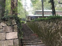 -莫干山风景区