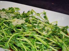 白灼豆苗-火宫殿·湘菜小吃·商务宴请·生日聚会(市府店)