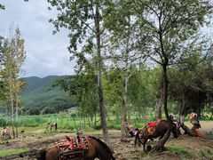-泸沽湖国家级风景名胜区走婚桥