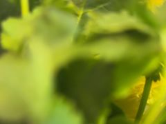 -郭记烤肉创始店(民丰大街店)