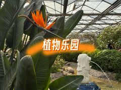 -南宫五洲植物乐园