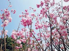 -观澜湖生态运动公社