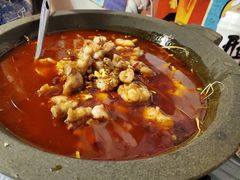 -虎虎龙虾大排档(双井店)