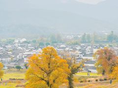 -塔川景区
