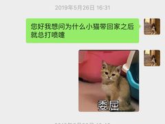 -袖虎·猫馆(体育西路店)