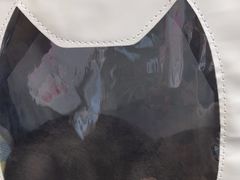 -瑞鹏宠物医院·微创内窥镜·骨外科·牙科(翠竹分院)