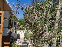-小时光咖啡馆(开森度假森林店)