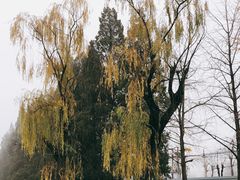 -十三陵定陵-裕陵路停车场