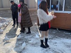 -天津妈祖文化园