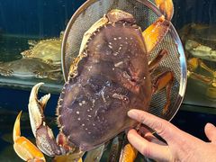 -广记海鲜(杨汊湖一店)