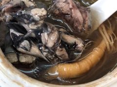 花旗参炖乌鸡-国英炖品店(甲子路店)