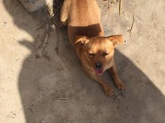 -老家大锅台(世纪城店)