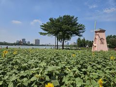 -顺峰山公园
