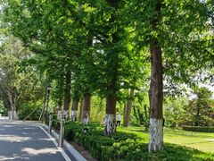 -棒棰岛宾馆景区