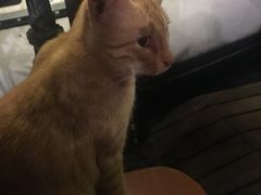 -仙本那渔人码头餐厅