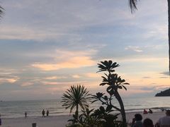 -真浪花园海鲜餐馆