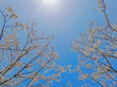 -龙美术馆西岸馆-停车场