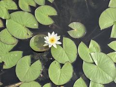 -味多美蛋糕(西大望路店)