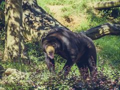 -杭州野生动物世界