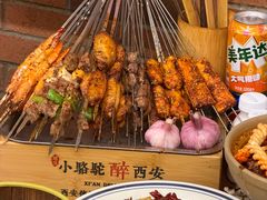 -福苗小骆驼烧烤(莲湖路店)