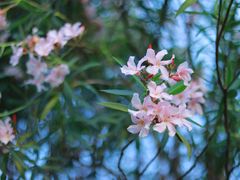 -福田红树林生态公园