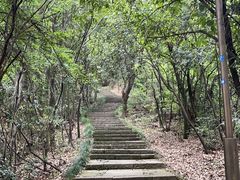 -杭州半山国家森林公园